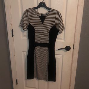 French Connection fitted stress